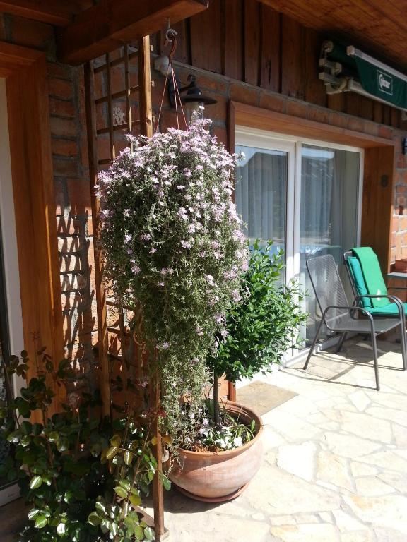 Gasthaus Joo-Wellness Pension Rábapaty Exterior foto